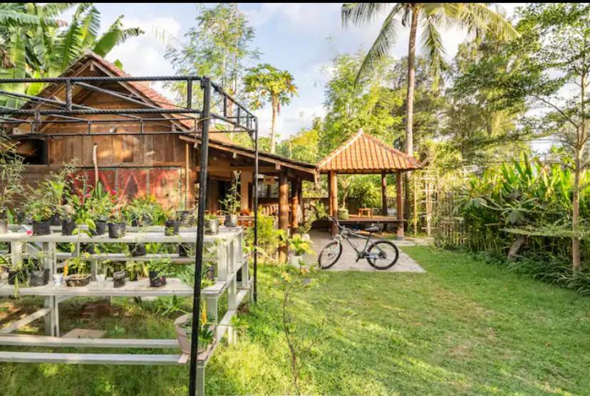 Al-Shifa Healing House Lombok Hotel Gili Air Exterior photo